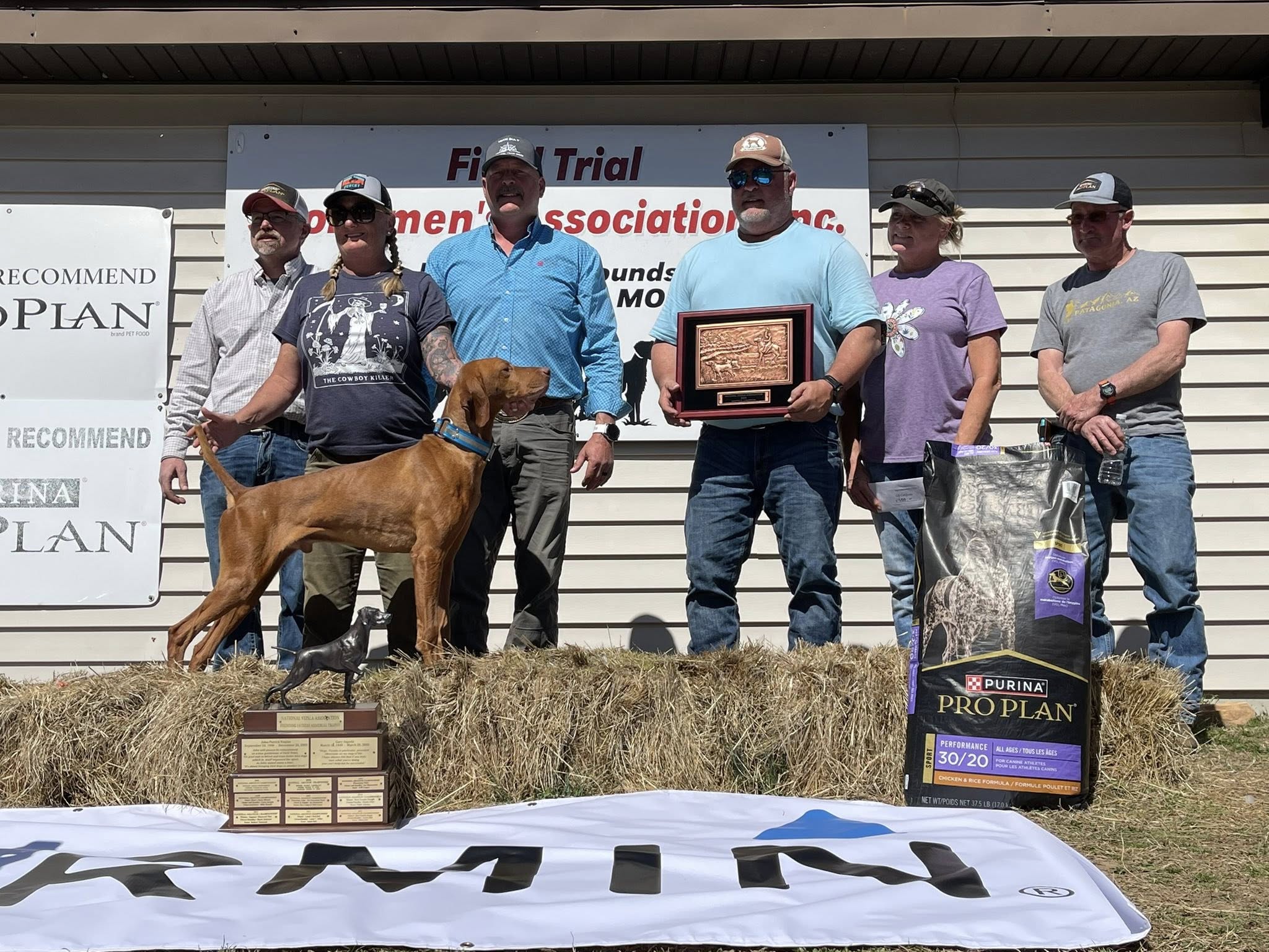 Vizsla receiving field trial award ribbon
